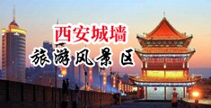 8x8x破处见血中国陕西-西安城墙旅游风景区