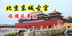操高清无码中国北京-东城古宫旅游风景区